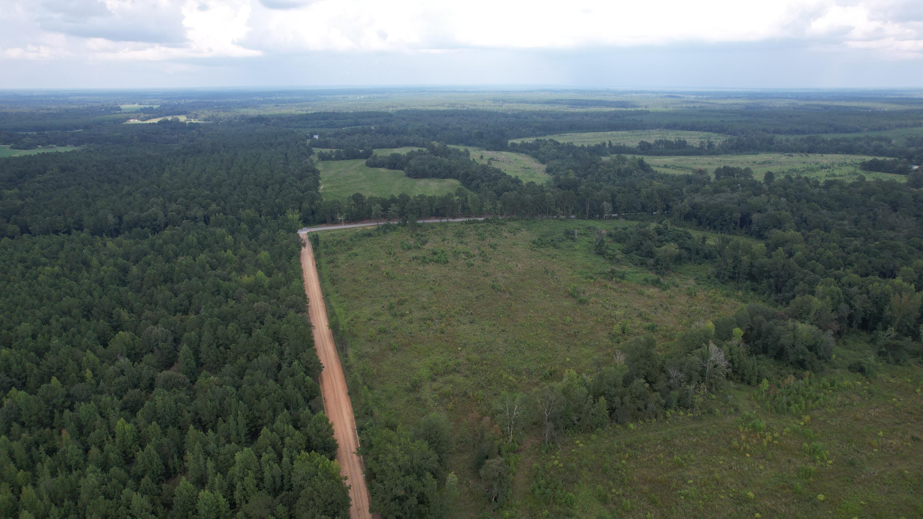 0 Hannah Road Chester, GA 31012 - Photo 56 of 59 DJI_0746