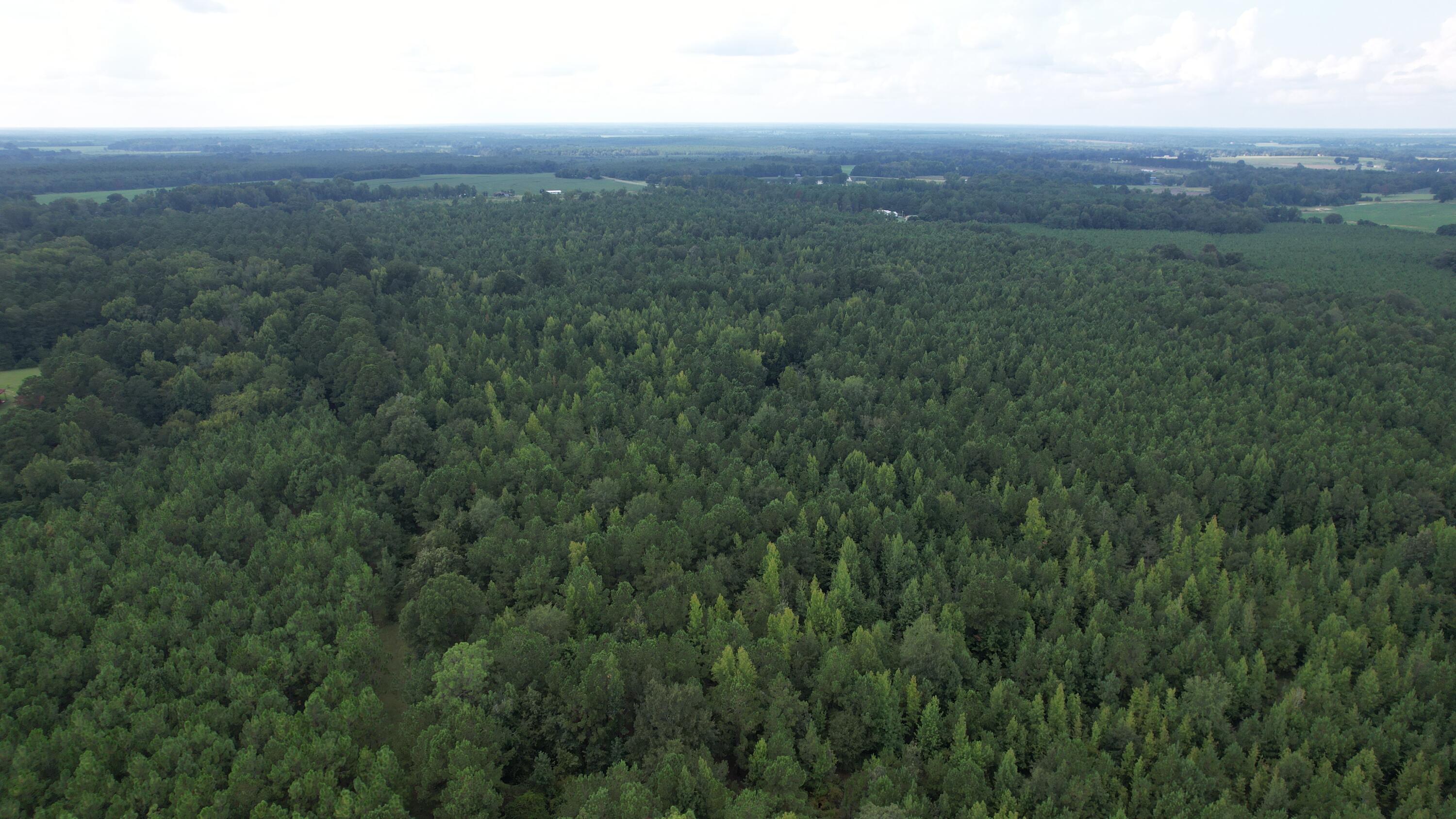 0 Hannah Road Chester, GA 31012 - Photo 57 of 59 DJI_0747