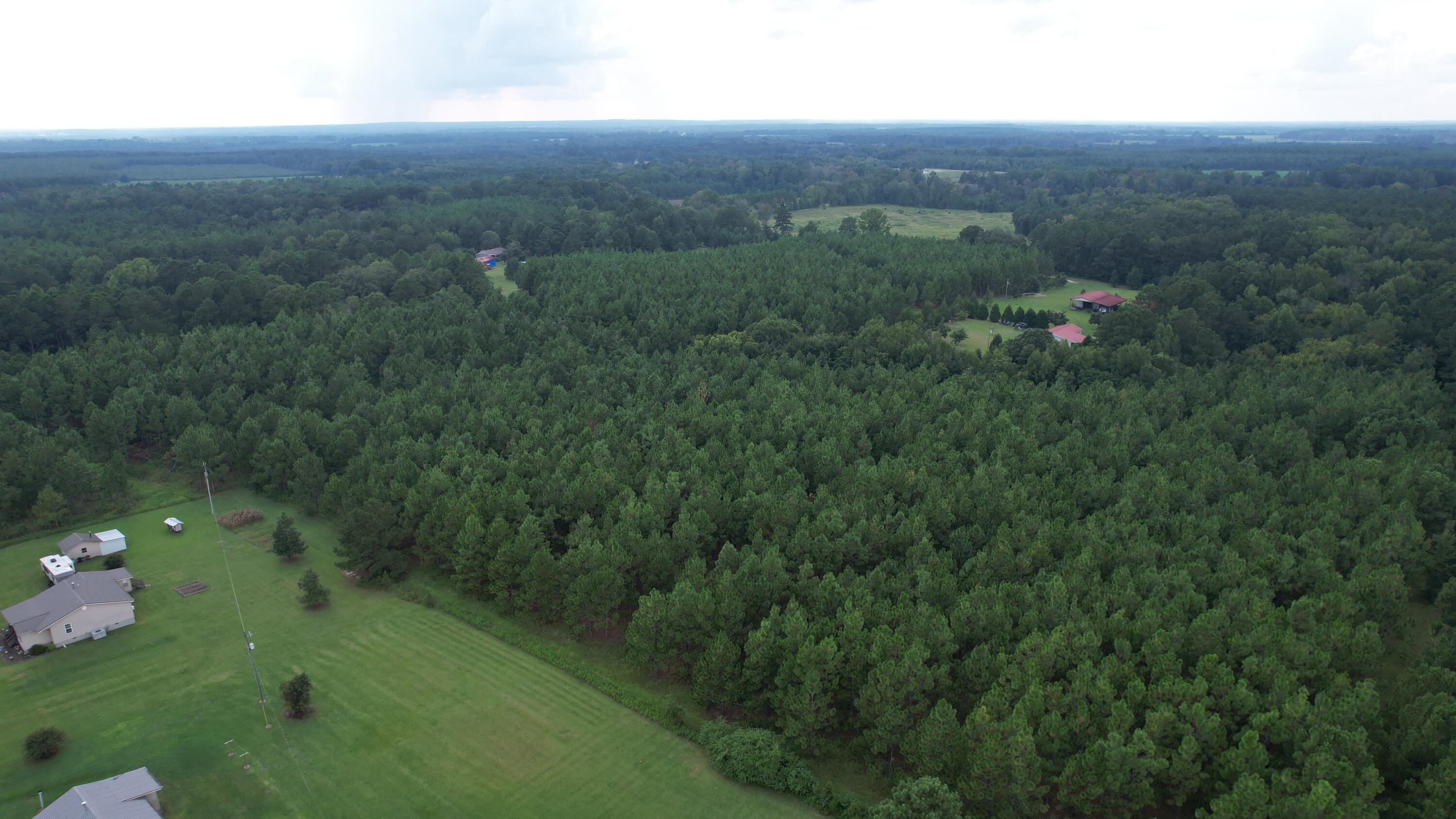 0 Hannah Road Chester, GA 31012 - Photo 58 of 59 DJI_0748