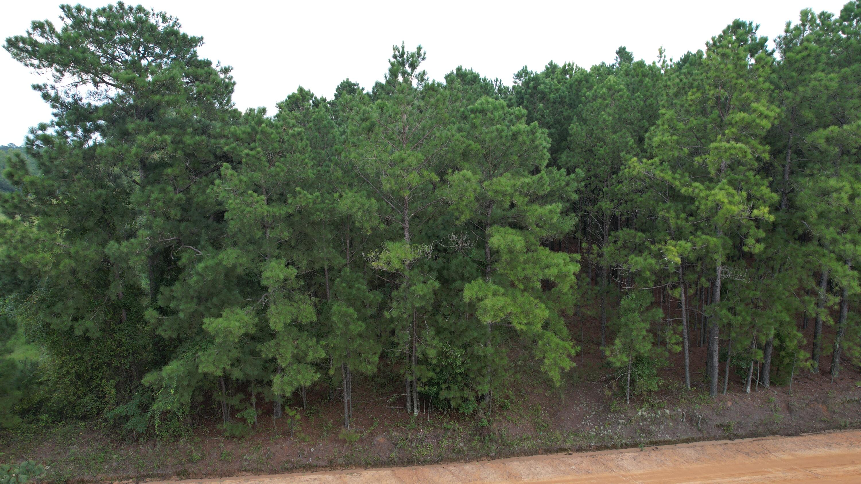 0 Hannah Road Chester, GA 31012 - Photo 6 of 59 DJI_0742