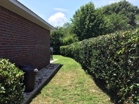 1885 Suavez Drive Lillian, AL 36549 - Photo 11 of 22
