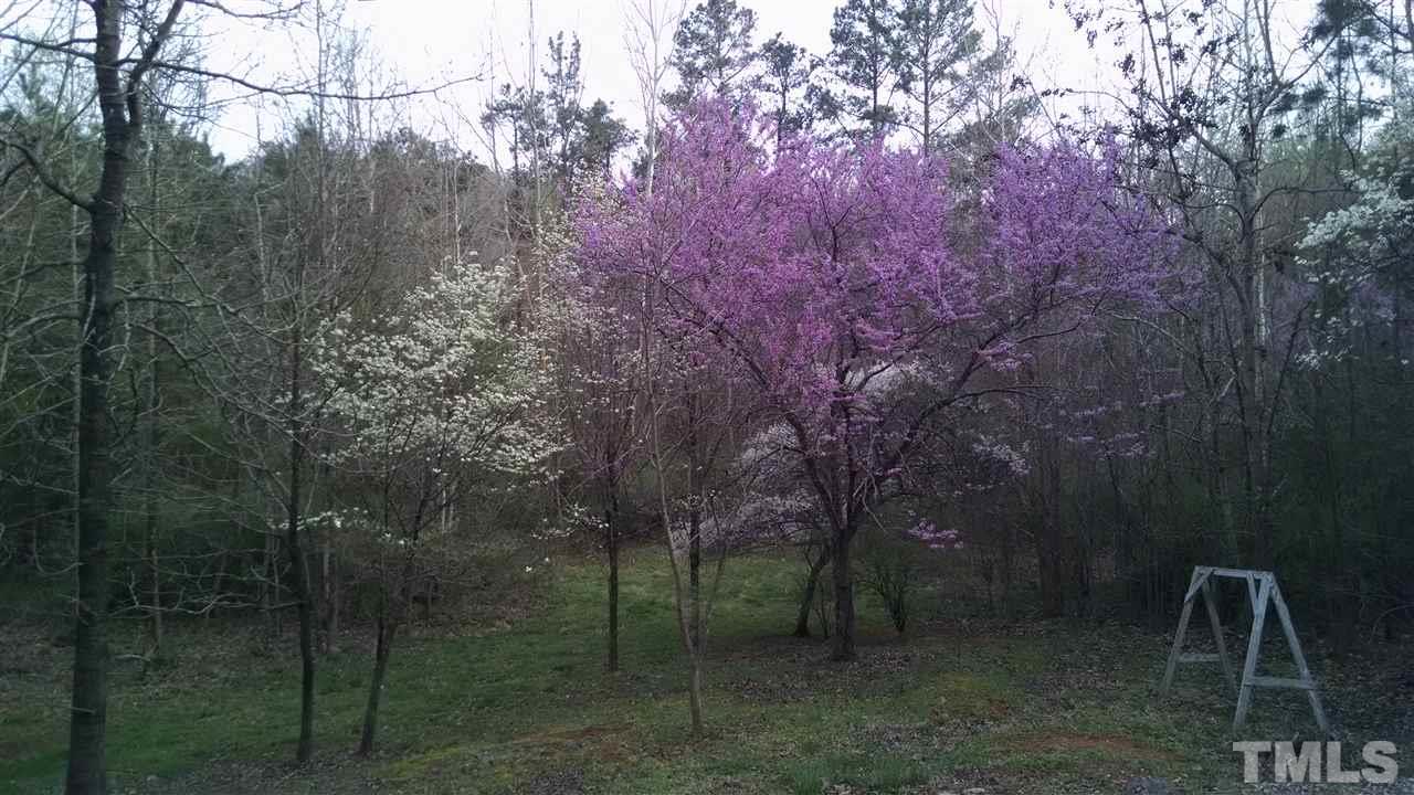 921 Silverberry Road Pittsboro, NC 27312 - Photo 21 of 23 Gallery Image 21