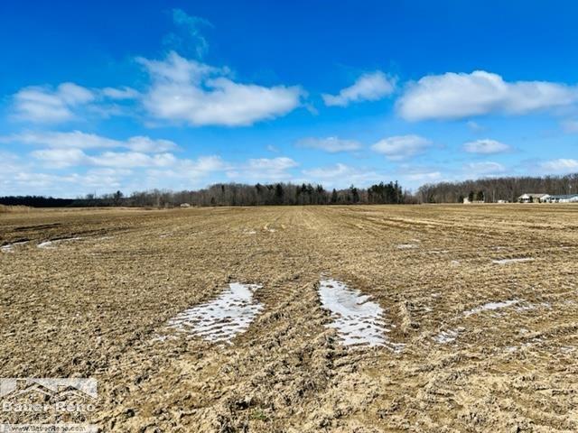 Vl North Road North Street, MI 48049 - Photo 1 of 8