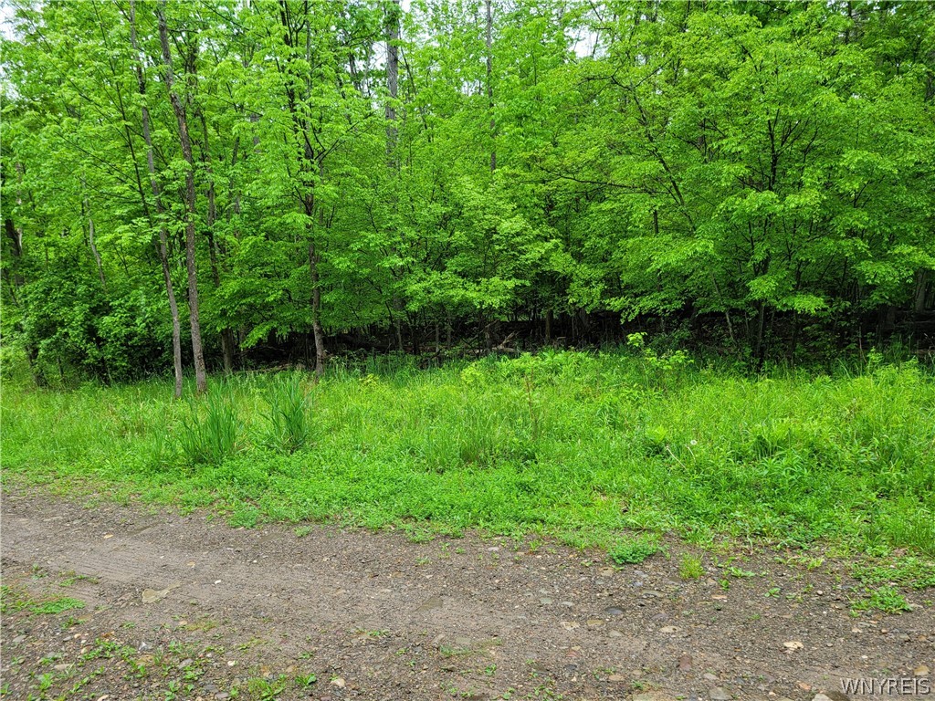 0 County Road 24 Swain, NY 14884 - Photo 1 of 7