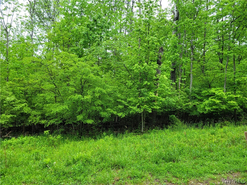 0 County Road 24 Swain, NY 14884 - Photo 2 of 7