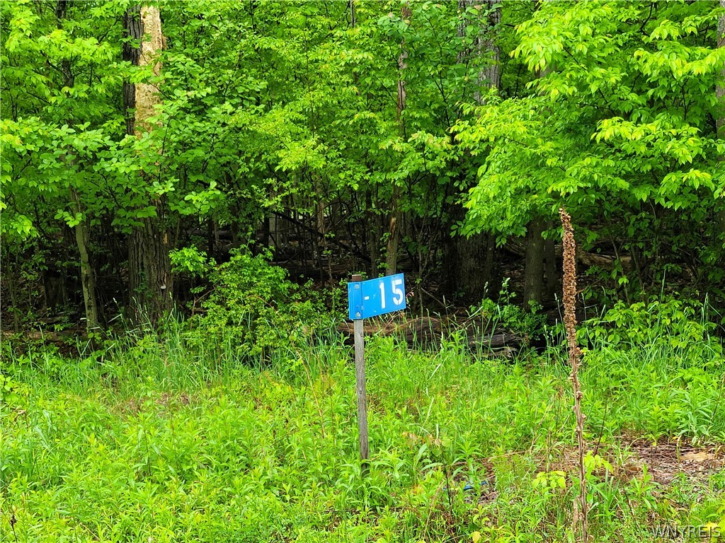 0 County Road 24 Swain, NY 14884 - Photo 4 of 7