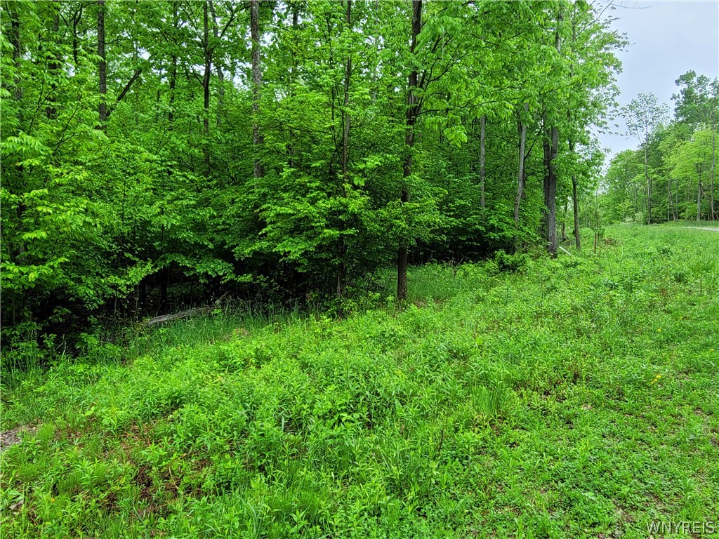 0 County Road 24 Swain, NY 14884 - Photo 5 of 7