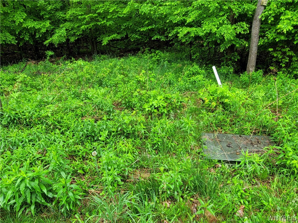 0 County Road 24 Swain, NY 14884 - Photo 6 of 7