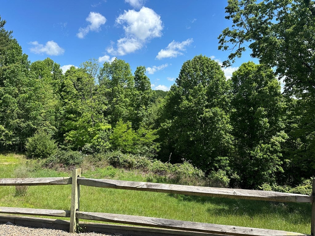 808 Pine Mountain Road Independence, VA 24348 - Photo 35 of 37 Gallery Image 35