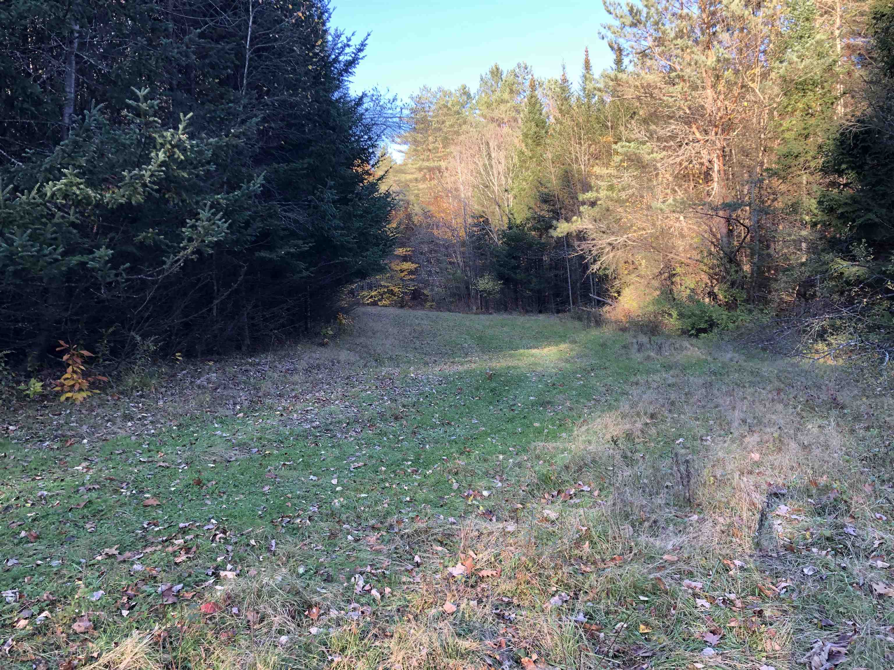 Tbd Lapland Road Waterville, VT 05492 - Photo 8 of 15