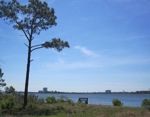 10162 Goodman Road D'Iberville, MS 39540 - Photo 1 of 8 Primary Photo