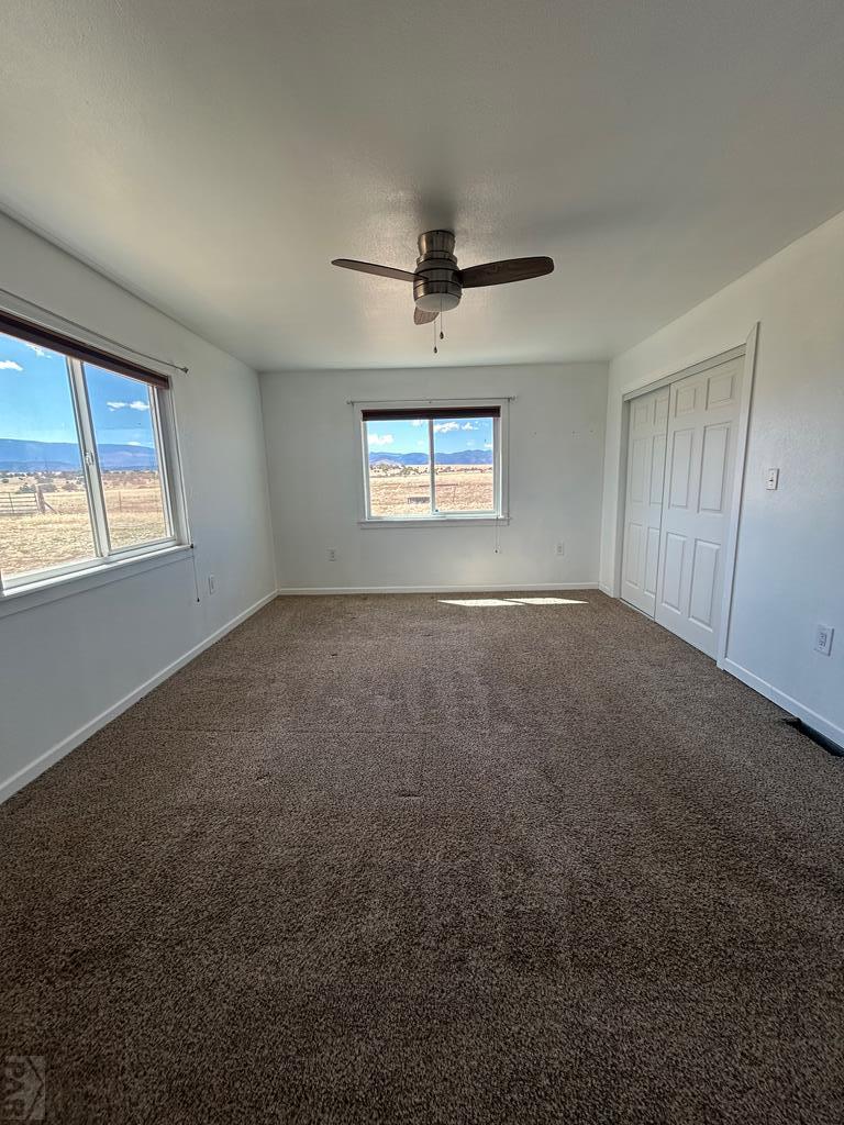 6023 South Waterbarrel Road Beulah, CO 81023 - Photo 36 of 63 an empty room with windows and a ceiling fan