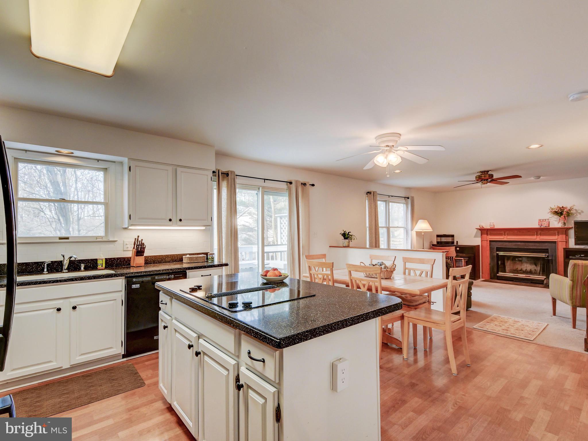 12314 Timber Grove Road Reisterstown, MD 21136 - Photo 16 of 42 HUGE island with electric cooktop / breakfast bar