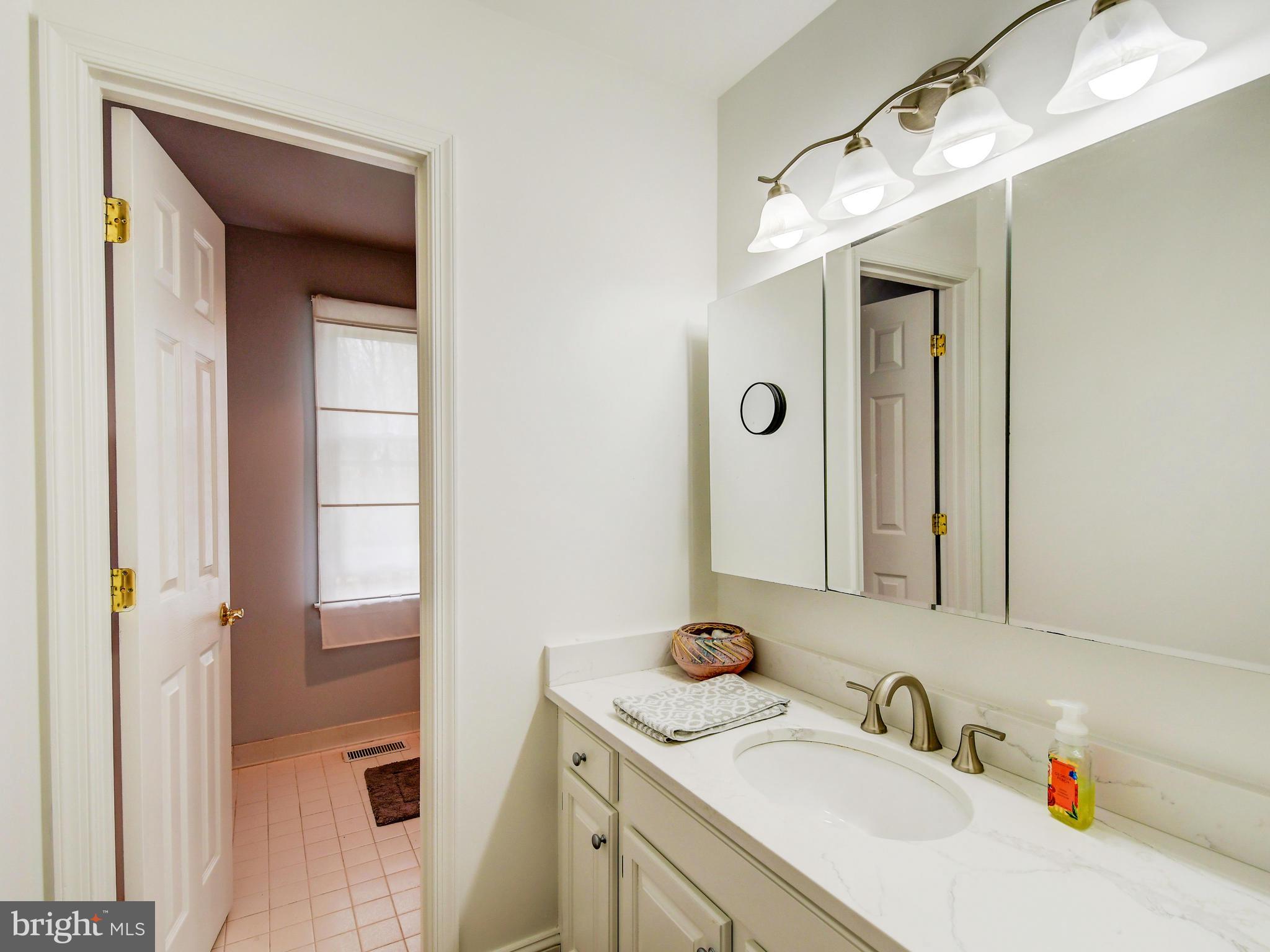 12314 Timber Grove Road Reisterstown, MD 21136 - Photo 26 of 42 Attached master bath with tons of counter space