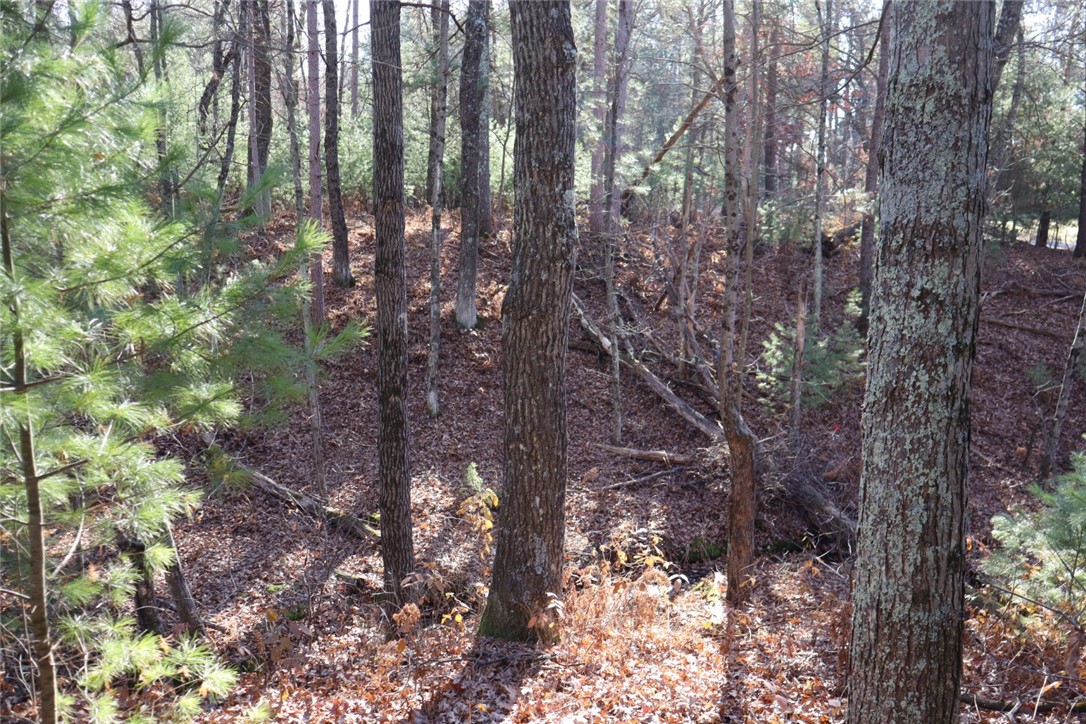 N8724 Lakeside Road Willard, WI 54493 - Photo 14 of 20