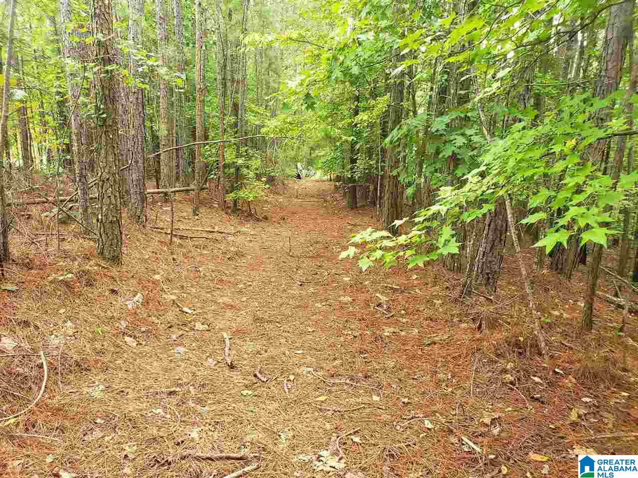 2229 County Road 82 Fruithurst, AL 36262 - Photo 4 of 12