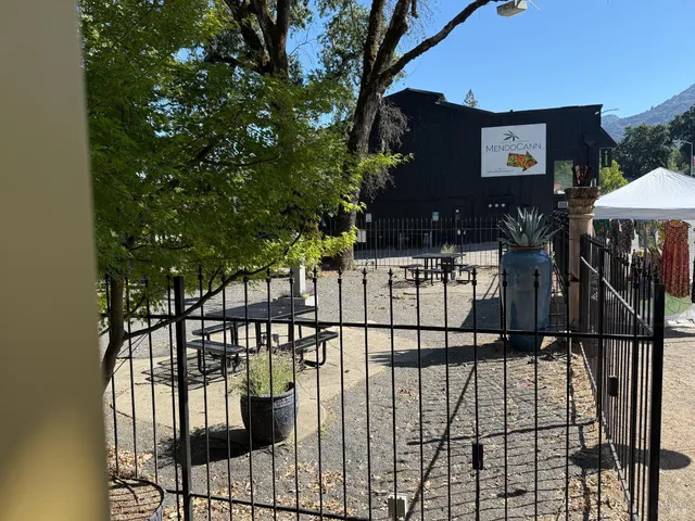 a view of a park with potted plants and large trees