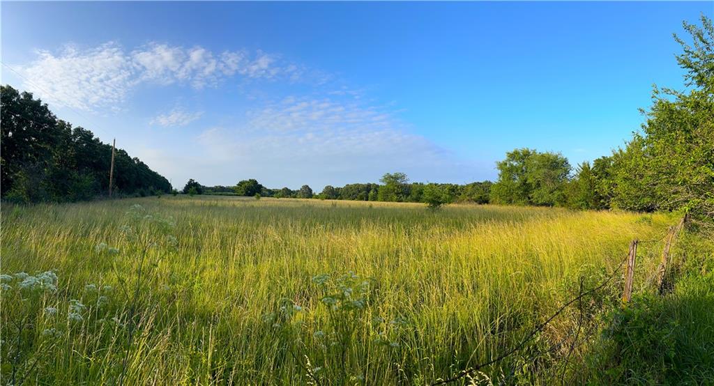 15245 South 425 Road Jerico Springs, MO 64756 - Photo 3 of 3