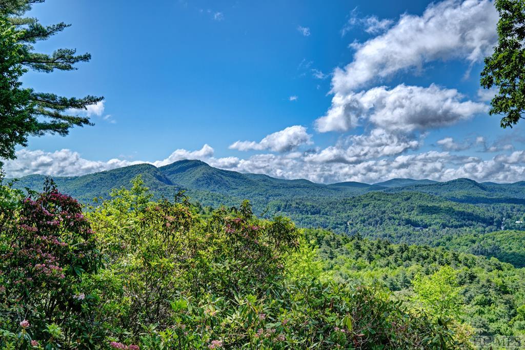 125 Rambouillet Road Cashiers, NC 28717 - Photo 1 of 49 Gallery Image 1