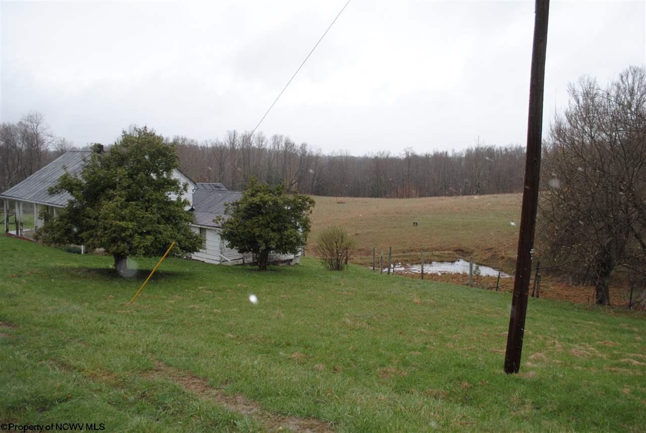 303 Boserman Farm Road Mabie, WV 26278 - Photo 17 of 20 Gallery Image 17
