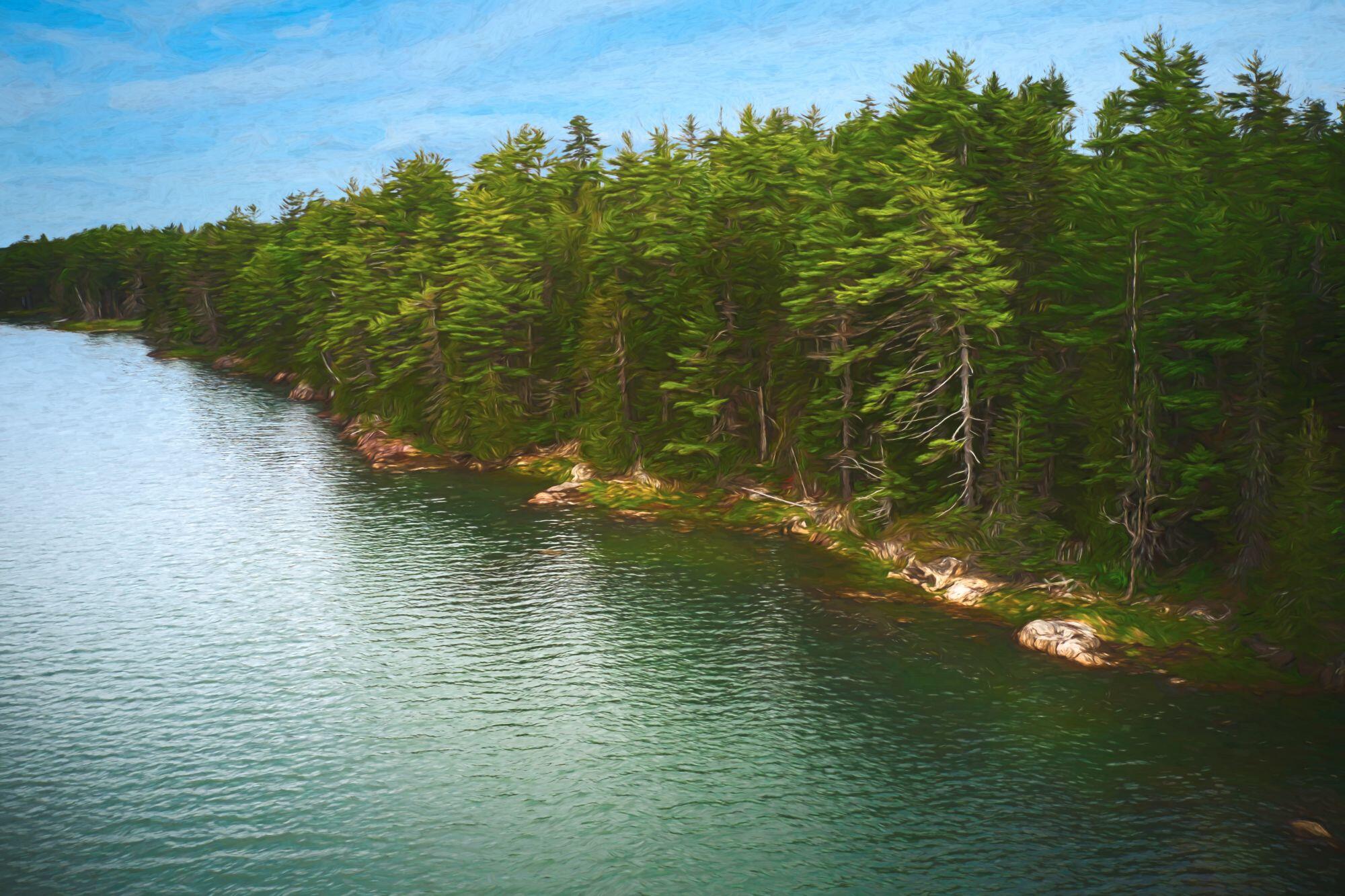 0 Ox Cove Road Pembroke, ME 04666 - Photo 2 of 3 coast looking west