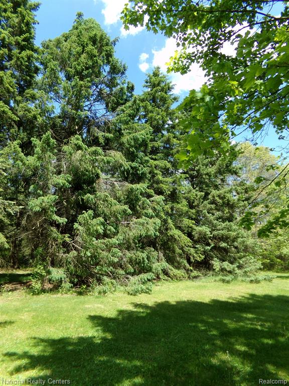 5600 Eagle Road White Lake, MI 48383 - Photo 5 of 51