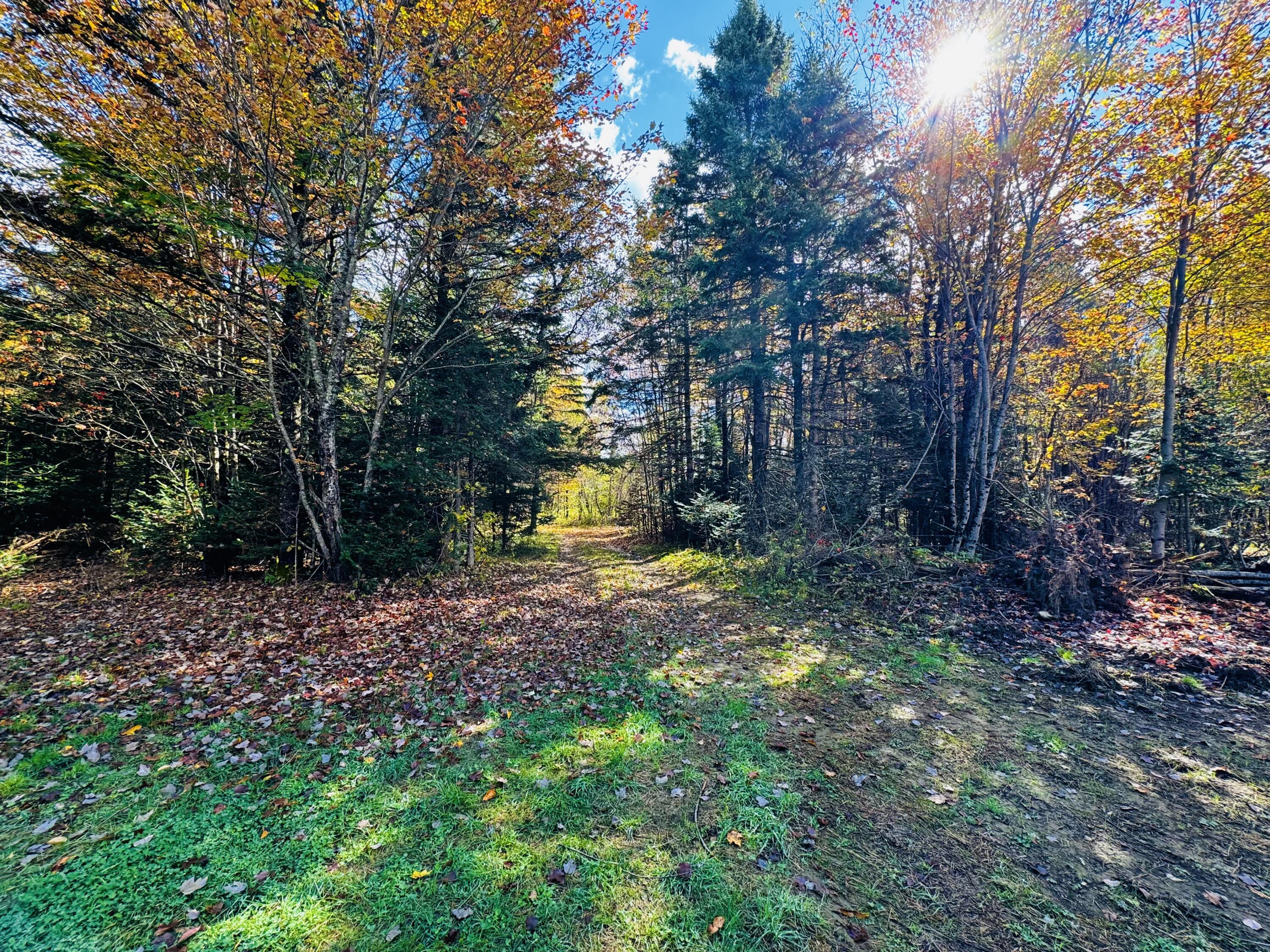 M101-l65-1 Line Road Dexter, ME 04930 - Photo 7 of 15 IMG_7519
