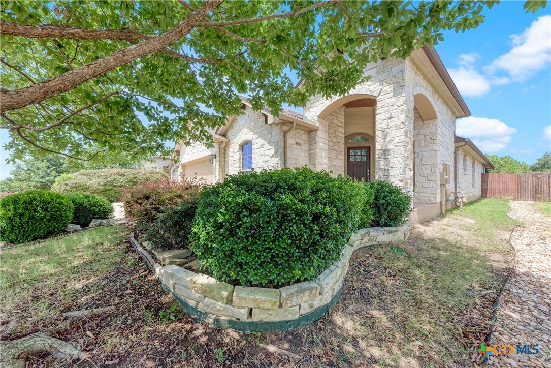 700 Cortona Cove Georgetown, TX 78628 - Photo 3 of 46 Mature front landscaping