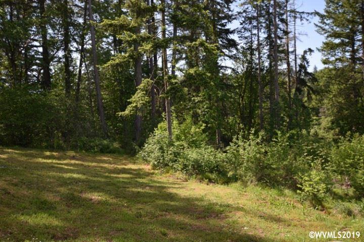 11675 Jerusalem Hill Road Northwest Salem, OR 97304 - Photo 3 of 5