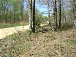 0 Big Spring Nunnelly, TN 37137 - Photo 1 of 2 Gallery Image 1