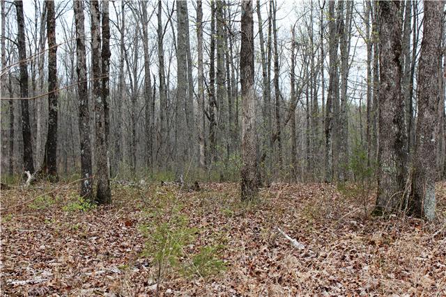 0 Big Spring Nunnelly, TN 37137 - Photo 2 of 2 Gallery Image 2