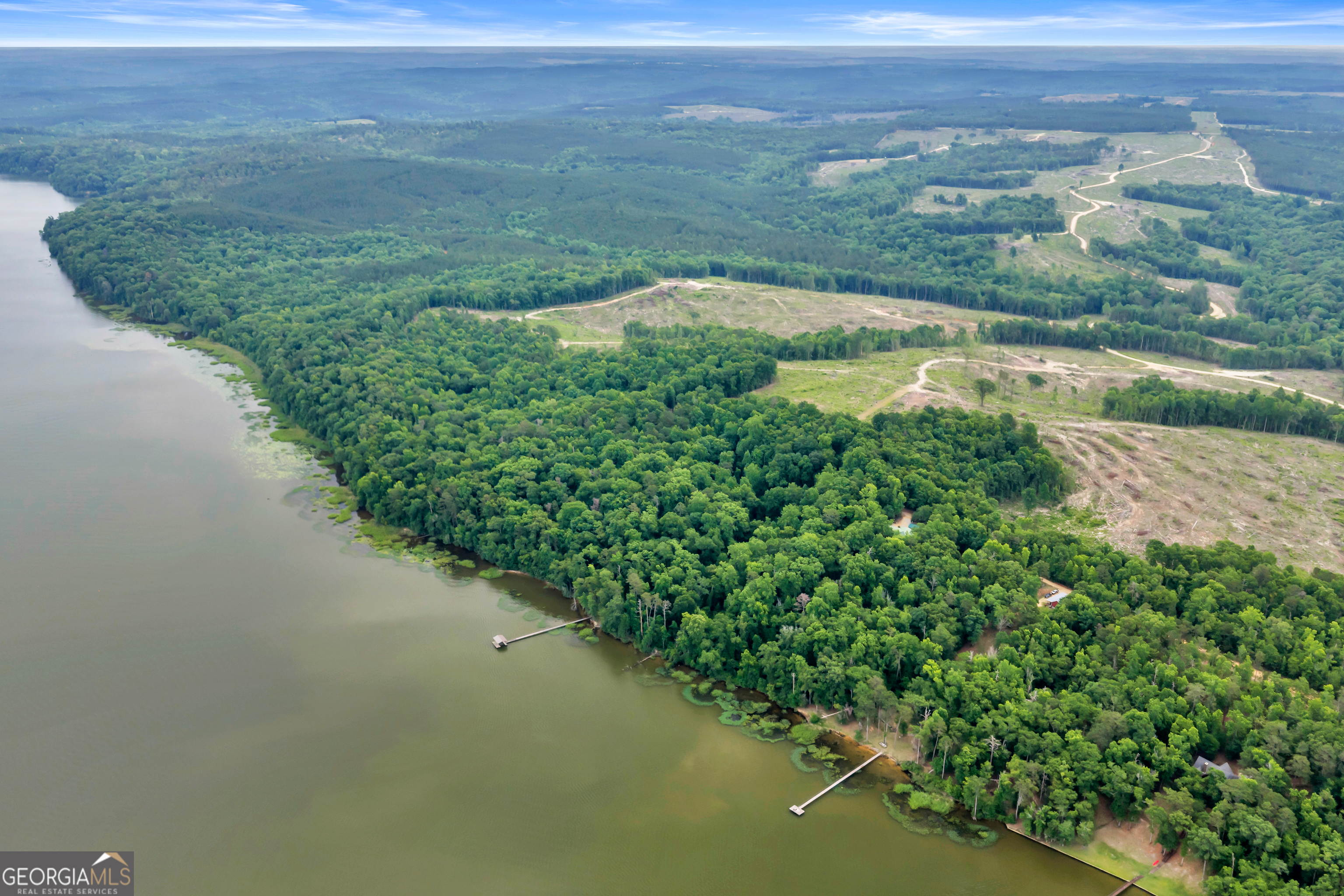 473 Vining Branch Road Georgetown, GA 39854 - Photo 15 of 43 a view of a field with an ocean