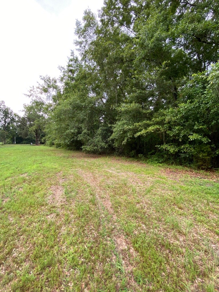 2242 Coot Adams Road Ashford, AL 36312 - Photo 25 of 39