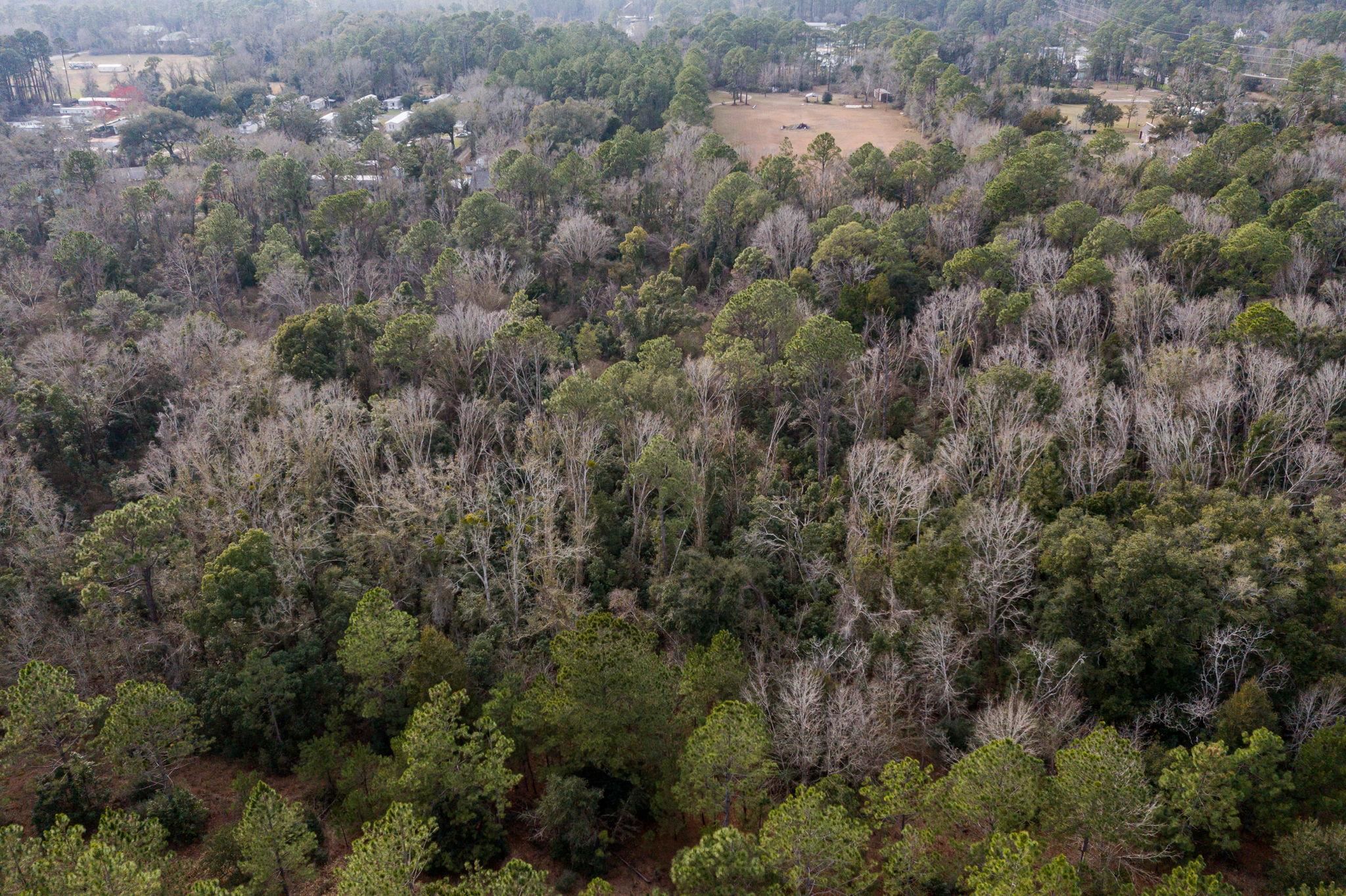 24060 Miflin Road Elberta, AL 36530 - Photo 15 of 18