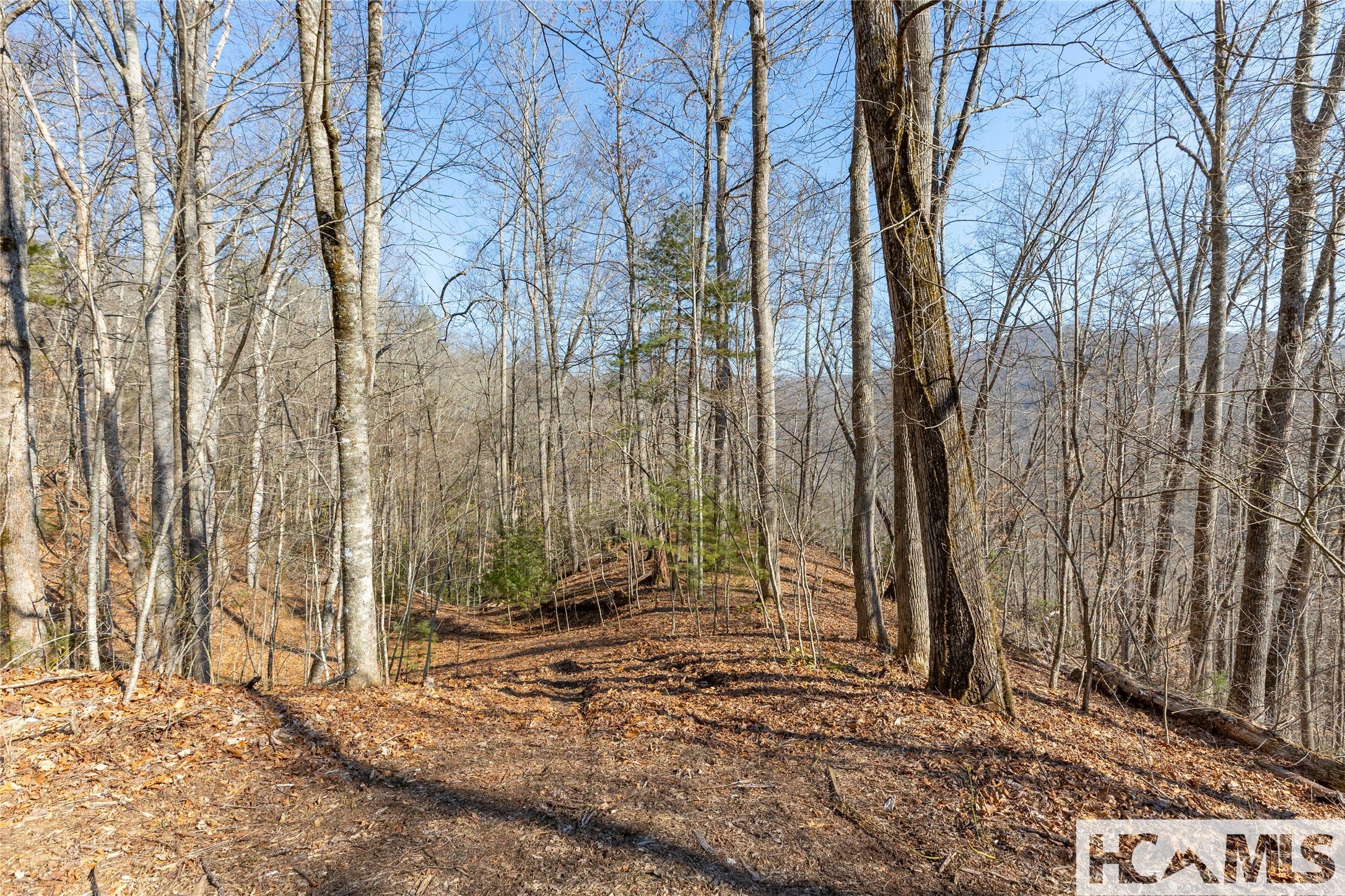 53 Cullowhee Forest Road Cullowhee, NC 28723 - Photo 15 of 41 Gallery Image 15