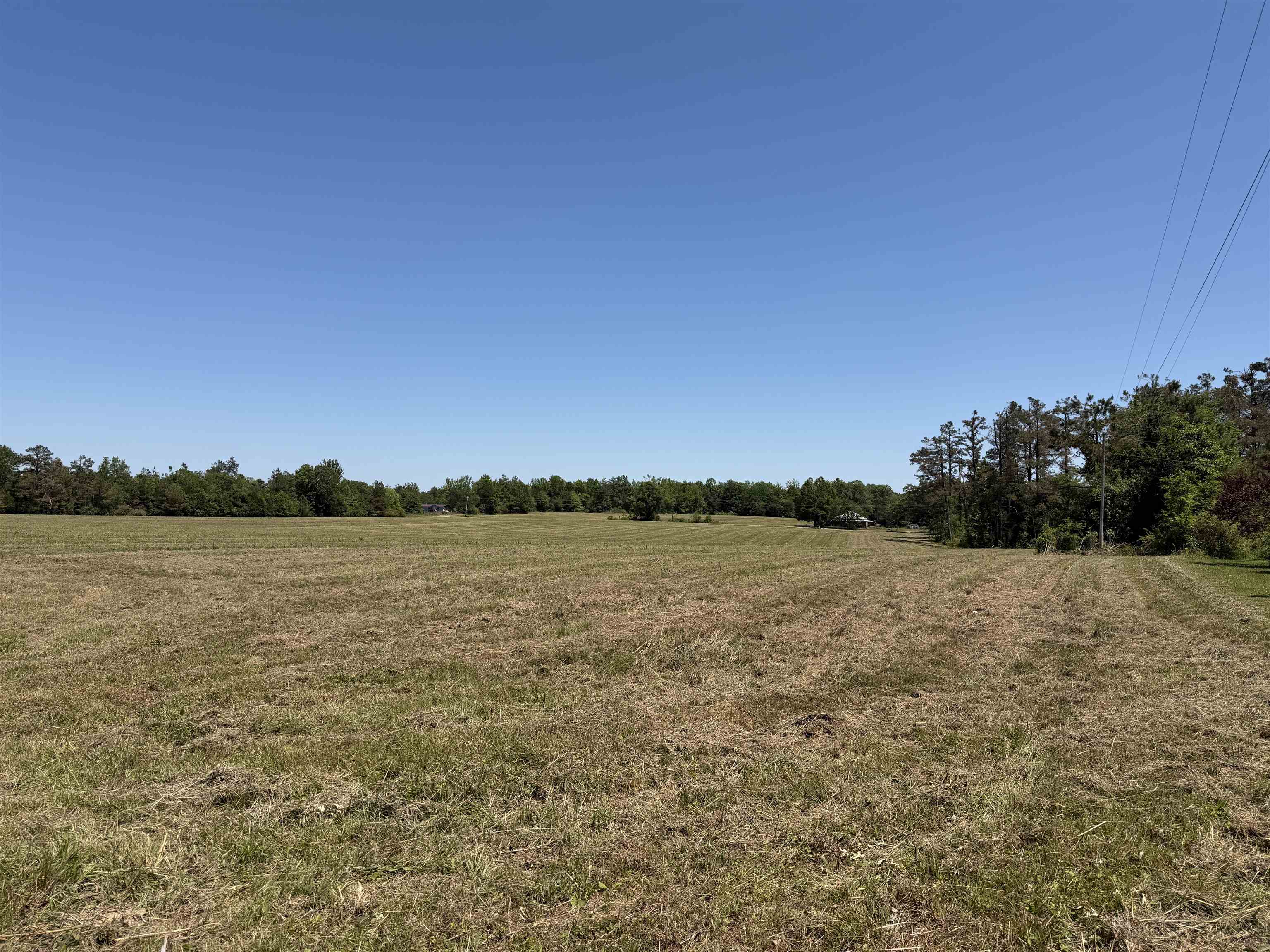 4 69th Highway Adamsville, TN 38310 - Photo 6 of 13