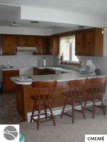 3502 West Washington Road Ithaca, MI 48847 - Photo 4 of 8 1772721-3.JPG