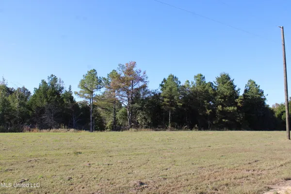$35,000 | 81 Bull Horn Road, Como, MS 38619