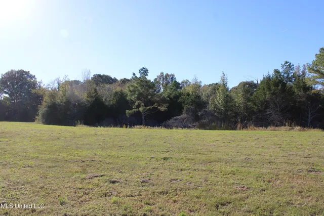 $35,000 | 81 Bull Horn Road, Como, MS 38619