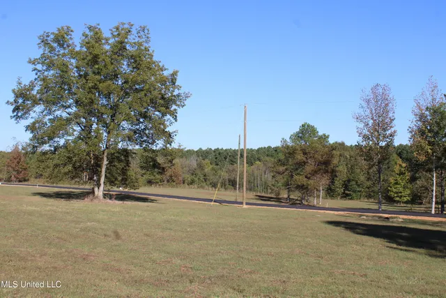 $35,000 | 81 Bull Horn Road, Como, MS 38619