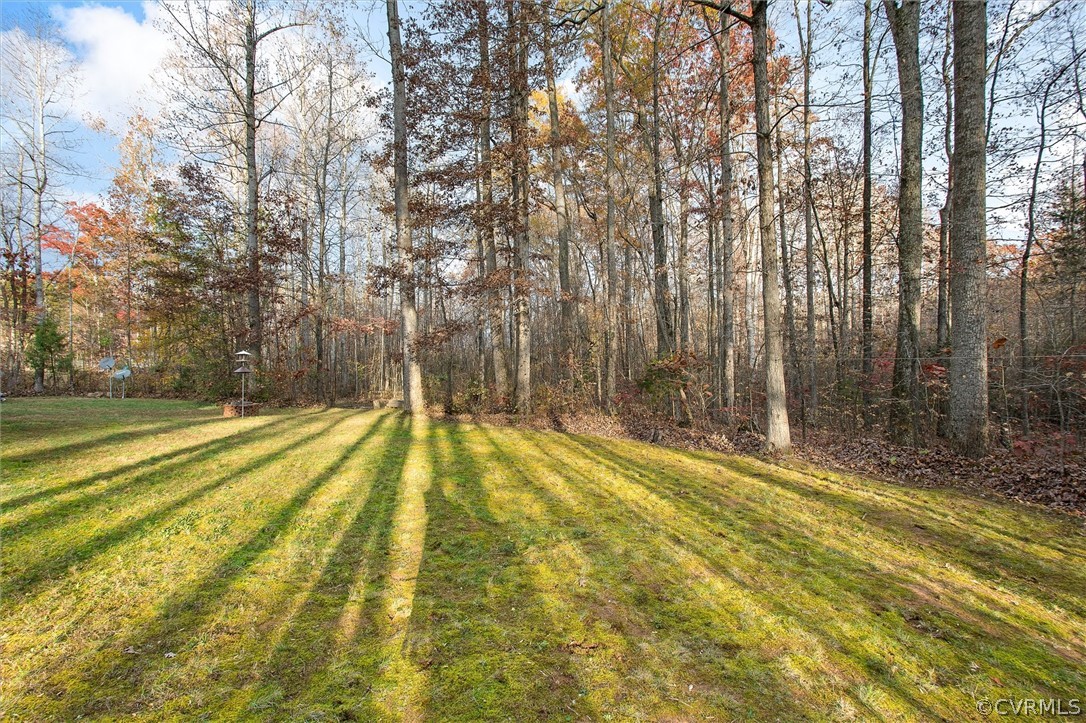 21146 Green Bay Road Beaverdam, VA 23015 - Photo 22 of 26 Gallery Image 22