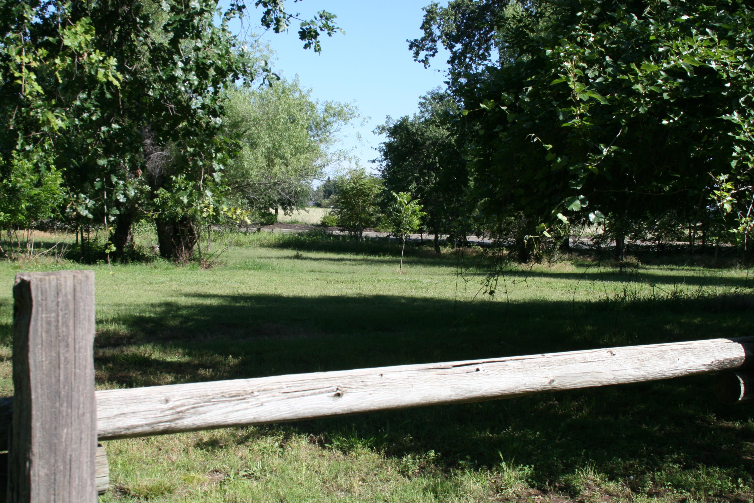 5900 Bell Road Redding, CA 96001 - Photo 11 of 39 IMG_0404