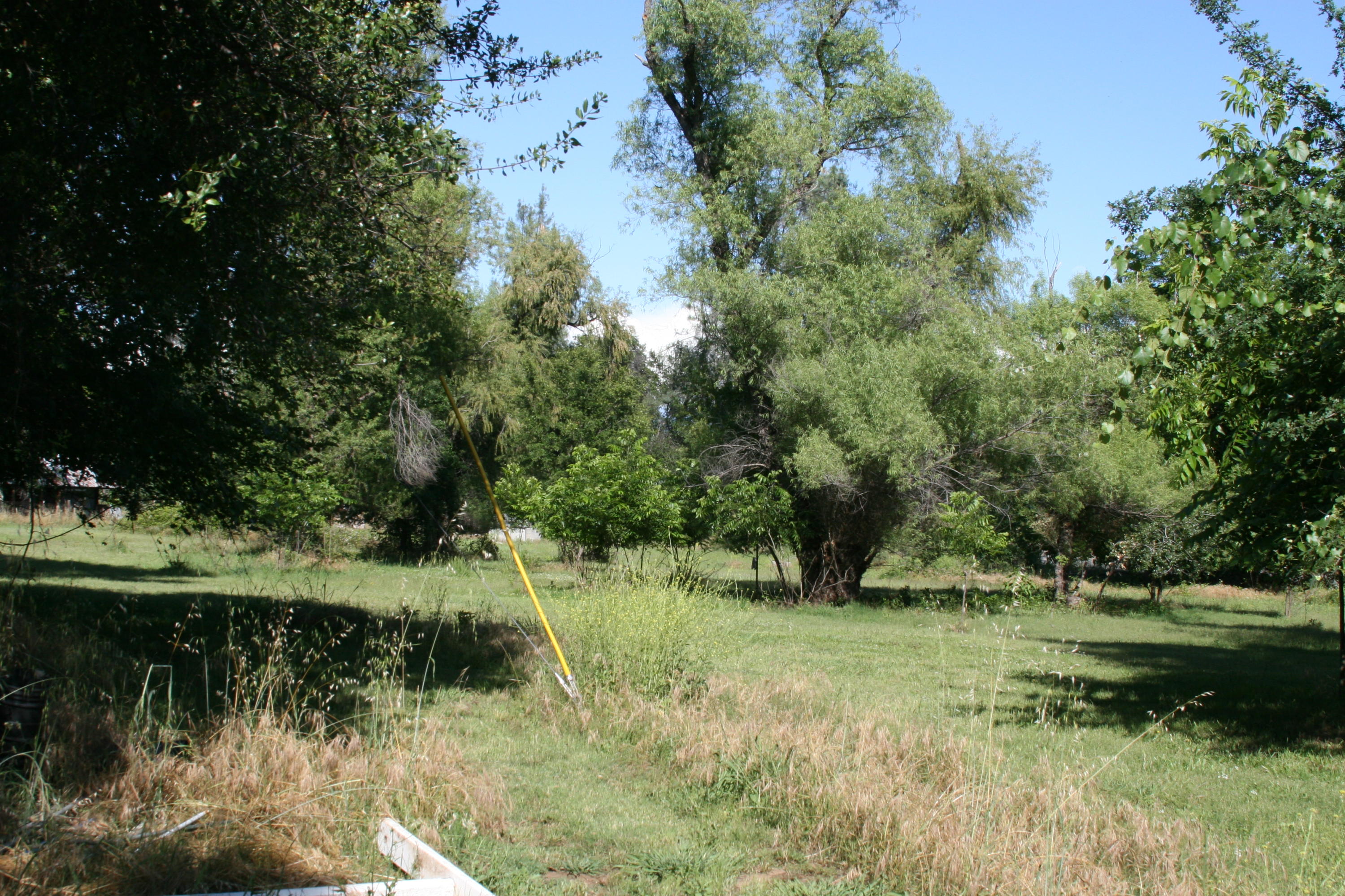 5900 Bell Road Redding, CA 96001 - Photo 14 of 39 IMG_0409