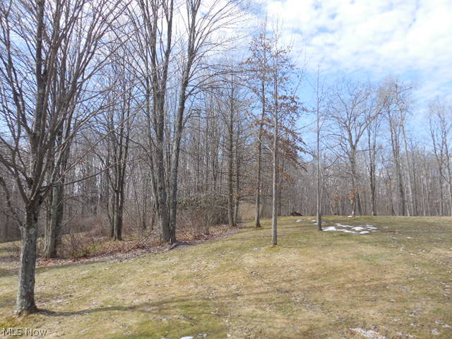 13442 Sperry Road Chesterland, OH 44026 - Photo 17 of 20