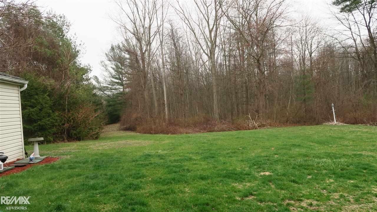 8217 Marsh Road Algonac, MI 48001 - Photo 11 of 42 50010163-10.JPG