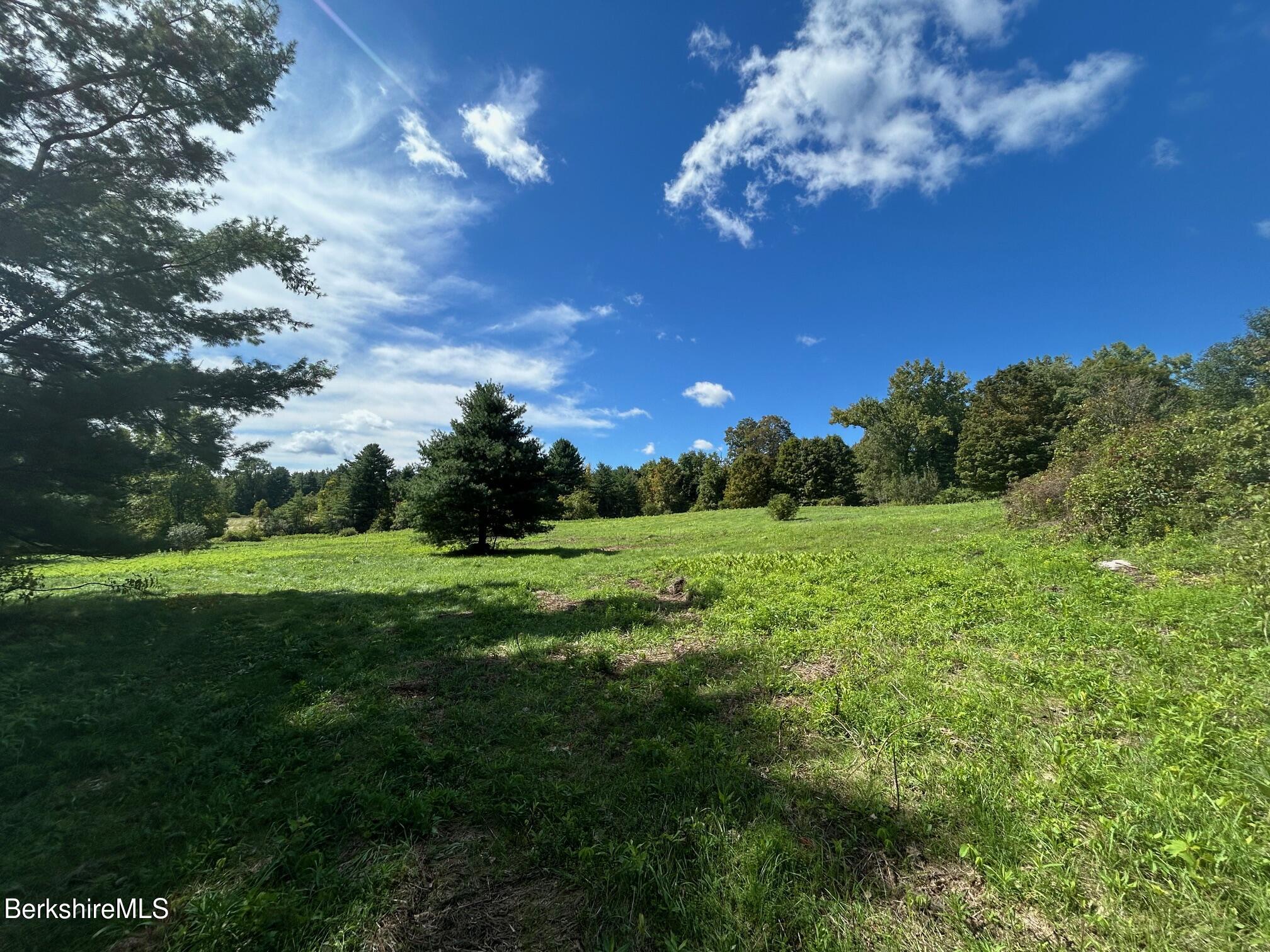 0 Brewer Branch Road Southfield, MA 01259 - Photo 5 of 13 IMG_4341