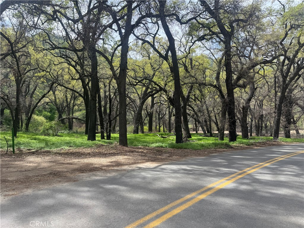 7700 Digier Road Lebec, CA 93243 - Photo 16 of 30 a view of a park with tree s