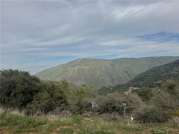 a view of a field with trees in background