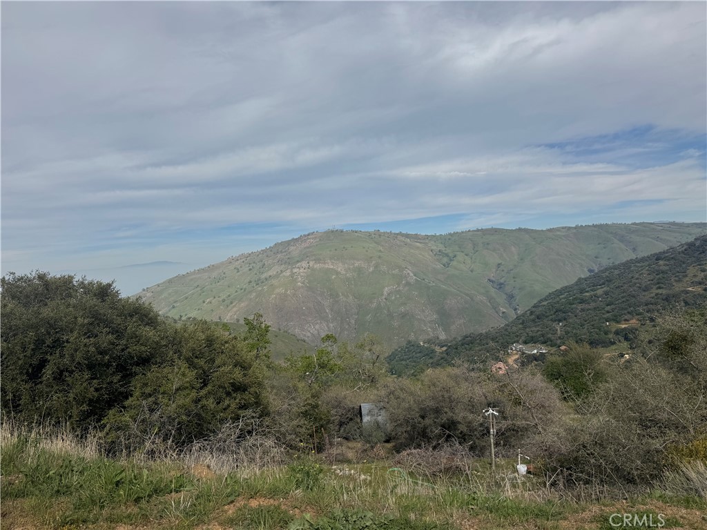 7700 Digier Road Lebec, CA 93243 - Photo 17 of 30 a view of a field with trees in background