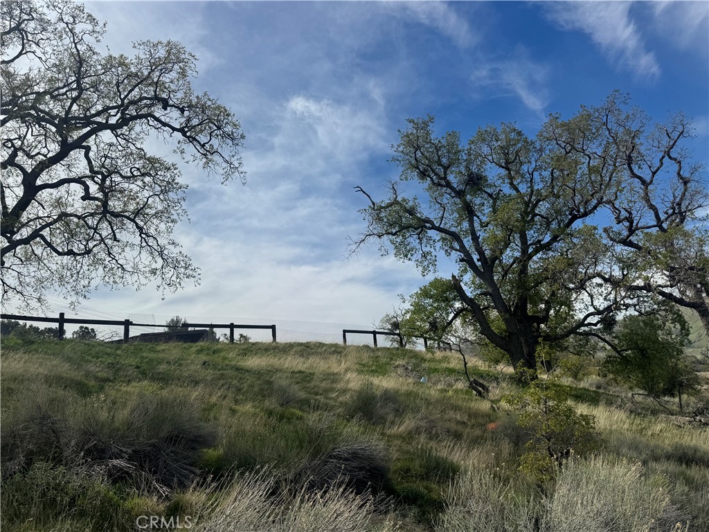 7700 Digier Road Lebec, CA 93243 - Photo 19 of 30 a view of an outdoor space and a yard